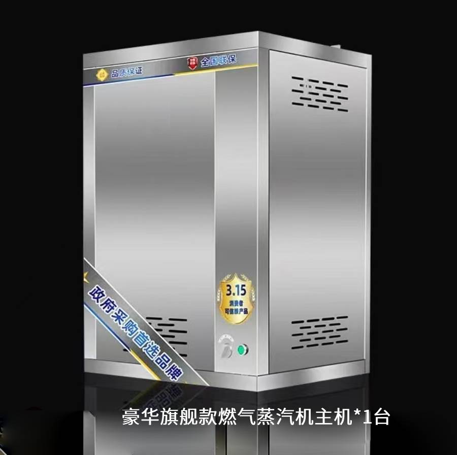 燃气蒸汽发生器